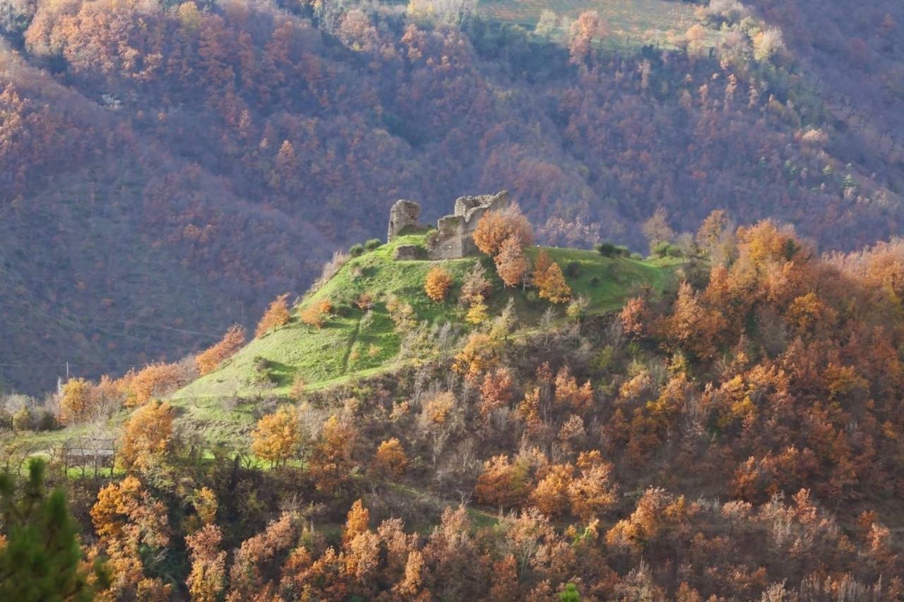 B&B Latordicella Castel del Rio 外观 照片