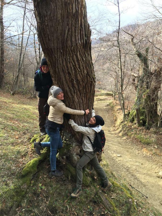 B&B Latordicella Castel del Rio 外观 照片